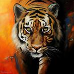 Iwona Kopczyska - Tiger XL