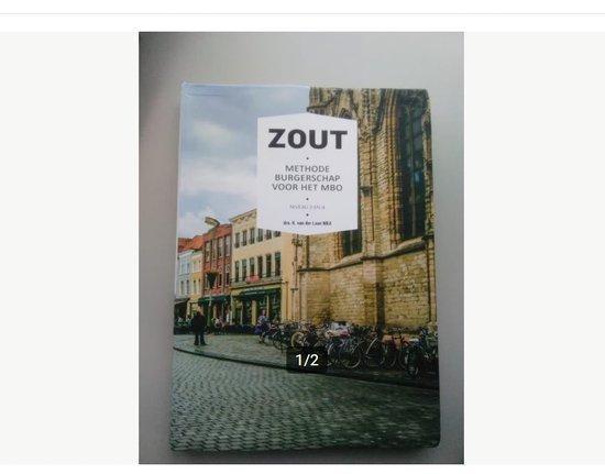 ZOUT Methode burgerschap voor het MBO niveau 3 en 4, Boeken, Schoolboeken, Zo goed als nieuw, Verzenden