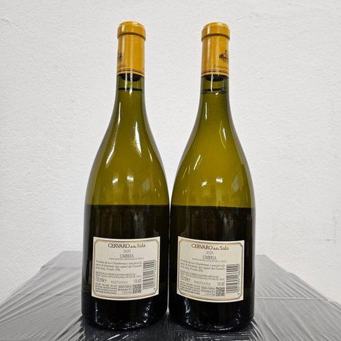 2023 Cervaro della Sala, Antinori - Umbrië - 2 Flessen (0.75, Verzamelen, Wijnen