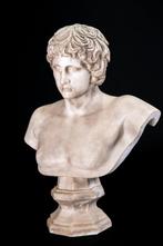 sculptuur, Busto di Antino - 72 cm - Marmer, Antiek en Kunst