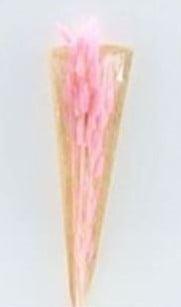 Lagurus ovatus pluimgras graspluimen in hoes gepreserveerd, Huis en Inrichting, Woonaccessoires | Kunstplanten en Kunstbloemen