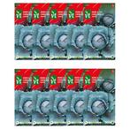 Rode kool zaad  | VT | 10 stuks, Tuin en Terras, Verzenden