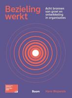 9789462762985 Bezieling werkt | Tweedehands, Verzenden, Zo goed als nieuw, Hans Wopereis
