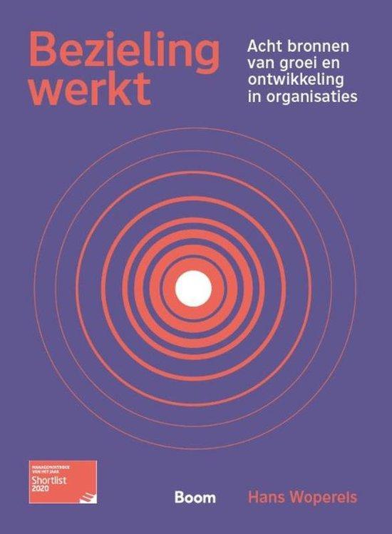 9789462762985 Bezieling werkt | Tweedehands, Boeken, Economie, Management en Marketing, Zo goed als nieuw, Verzenden
