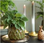 Kaarsen Dip Dye Olive Salie 24 cm Ø2,5 set 3 stuks, Ophalen of Verzenden, Nieuw