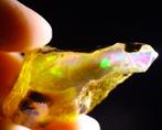 MUSEUM KWALITEIT - Ruw Kristal Welo Opal Fosforsteen -