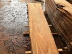 12X Boomstambladen, Iep, complete partij 520,- REF 781, Doe-het-zelf en Verbouw, Hout en Planken, 25 tot 50 mm, Overige typen