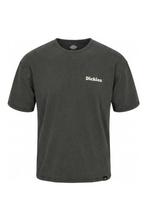 Dickies T-shirt in maat XXL Zwart, Kleding | Heren, T-shirts, Verzenden, Zo goed als nieuw, Zwart, Dickies