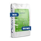 Speelgazon Graszaad – Resilient (1 kg voor 50 m2), Verzenden, Gehele jaar, Volle zon, Zaad