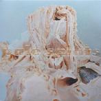 Pale Saints – In Ribbons 0191400040700 (2-12, Verzenden, Nieuw in verpakking