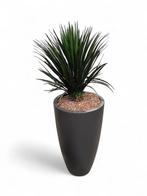 Kunstplant Victoria in sierpot, H155 cm, Overige plaatsen, Ophalen of Verzenden, Gebruikt, Overige typen