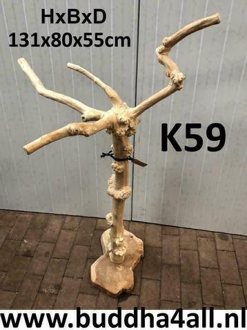 Javaboom | koffieboom | vogelboom | papegaaienboom | beschikbaar voor biedingen