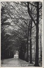 DORST - Staatsbosbeheer, Verzamelen, Ansichtkaarten | Nederland, Verzenden, Gelopen