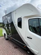 Knappe en luxe Renault MTM  paardenwagen! 2013 - Automaat!, Ophalen, Zo goed als nieuw, 2-paards trailer