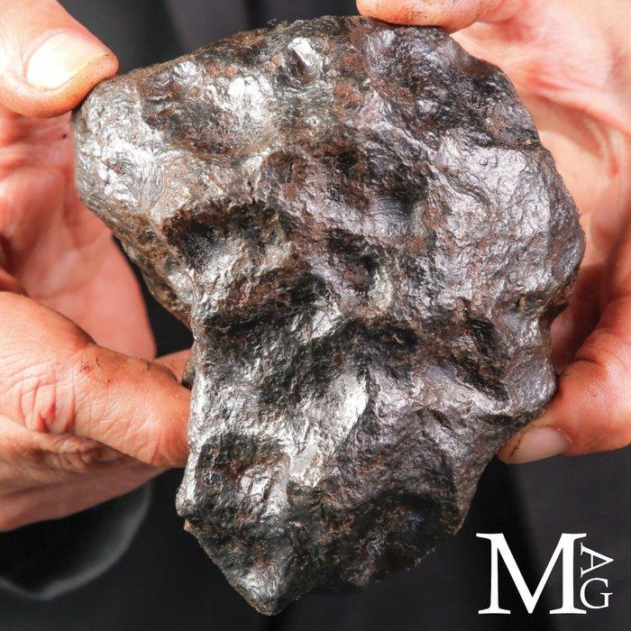 Campo Del Cielo - Kern van een asteroïde Campo del Cielo, Verzamelen, Mineralen en Fossielen