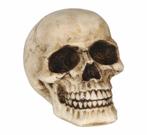 Halloween Tafeldecoratie Schedel 8cm, Verzenden, Nieuw
