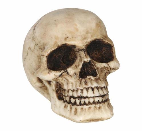 Halloween Tafeldecoratie Schedel 8cm, Hobby en Vrije tijd, Feestartikelen, Nieuw, Verzenden