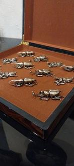 Messensteun (12) - Coléoptères 3 models - Messing - Kevers, Antiek en Kunst, Antiek | Meubels | Tafels