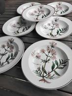 Villeroy & Boch - Villeroy Boch - Tafelservies (7) -, Antiek en Kunst