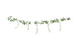 Slinger Wisteria 1,7m, Verzenden, Nieuw