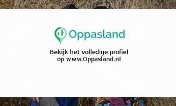 Wouter zoekt een oppas in Apeldoorn voor 1 kind op maanda... beschikbaar voor biedingen