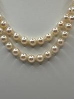 Choker halsketting - 18 karaat Geel goud Parel - Parel, Sieraden, Tassen en Uiterlijk, Antieke sieraden