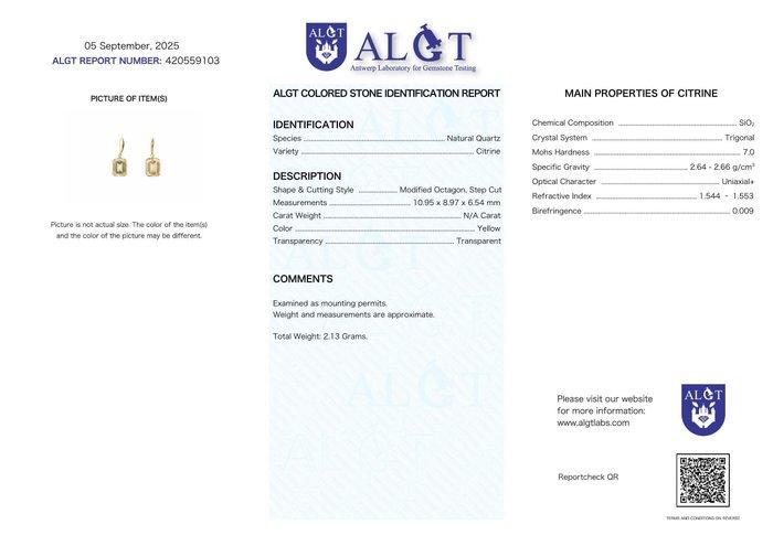 Zonder Minimumprijs - Oorbellen - 18 karaat Geel goud, Sieraden, Tassen en Uiterlijk, Oorbellen