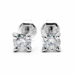 Zonder minimumprijs - Oorbellen - 14 karaat Witgoud -, Nieuw