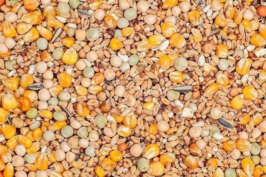 Classic vogelzaden voor tortelduiven | beste Voer kopen -, Dieren en Toebehoren, Vogels | Toebehoren, Nieuw, Verzenden