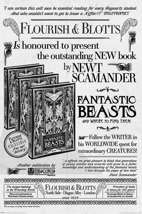 Poster Fantastic Beasts the Crimes of Grindelwald Flourish, Verzamelen, Posters, Nieuw, A1 t/m A3, Verzenden
