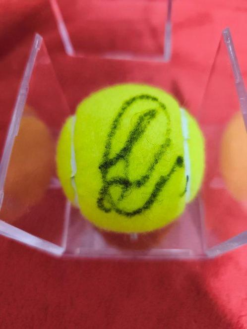 Tennis Monte Carlo - Sinner - 2025 - Decoratief object,, Verzamelen, Overige Verzamelen