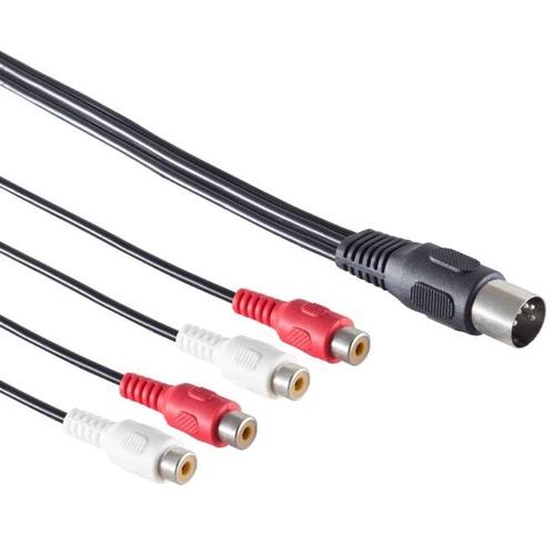 DIN 5-pins (m) - 2x Tulp stereo 2RCA (v) audio, Audio, Tv en Foto, Overige Audio, Tv en Foto, Ophalen of Verzenden