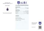 Geen reserve - ALGT-gecertificeerd - Exclusieve natuurlijke, Verzamelen, Mineralen en Fossielen