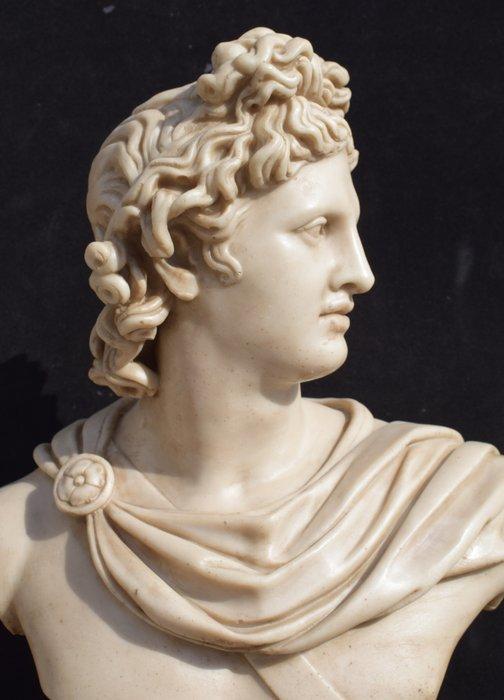 sculptuur, Busto Apollo del Belvedere - 46 cm - Hersteld, Antiek en Kunst, Curiosa en Brocante
