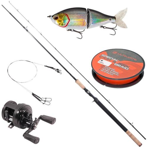 Ultimate Pike Baitcasting Set, Watersport en Boten, Hengelsport | Algemeen, Nieuw, Verzenden
