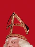 Sinterklaas bestaat! 9789047705185 Bram van der Vlugt, Verzenden, Gelezen, Bram van der Vlugt