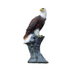Adelaar - polystone beeld - 105 cm - in kleur en detail, Ophalen of Verzenden, Nieuw