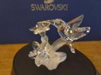 Swarovski - Beeldje - Hummingbird 166184 - Boxed +