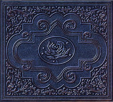 cd digi - Ryan Adams &amp; The Cardinals - Cold Roses, Cd's en Dvd's, Cd's | Rock, Zo goed als nieuw, Verzenden
