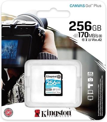 Kingston canvas go plus 256 Gb beschikbaar voor biedingen