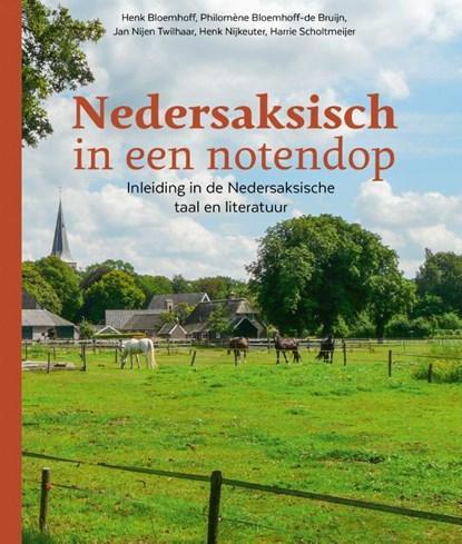 Nedersaksisch in een notendop | 9789023256670 | Henk, Boeken, Reisverhalen, Zo goed als nieuw