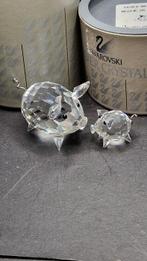 Swarovski - boxed en certificated - Varken middel 010031 -, Antiek en Kunst, Curiosa en Brocante