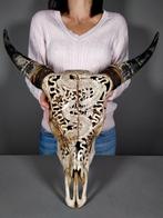 Indonesische waterbuffaloskull - met de hand gesneden en, Verzamelen, Dierenverzamelingen, Nieuw