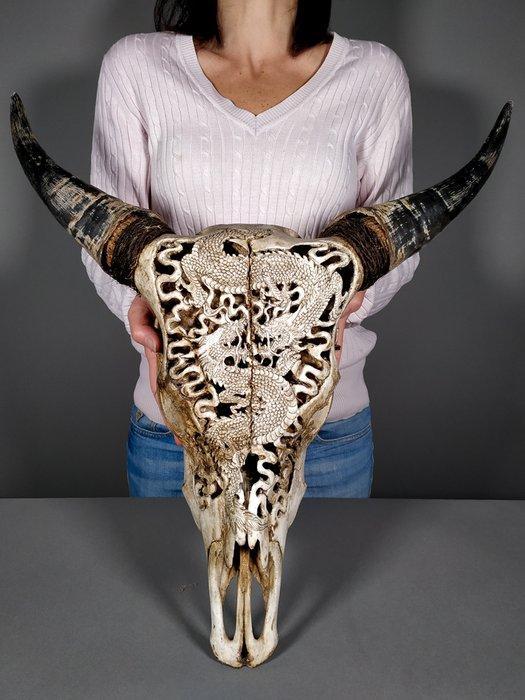 Indonesische waterbuffaloskull - met de hand gesneden en, Verzamelen, Dierenverzamelingen