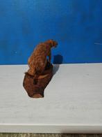 Wezel Taxidermie volledige montage - Mustela nivalis - 20 cm, Verzamelen, Nieuw