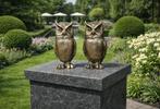Beeld, Iron Owls - 2.5kg - 16 cm - IJzer - 2026