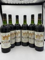 1991 (x5) & 1996 Alejandro Fernandez, Tinto Pesquera -, Nieuw