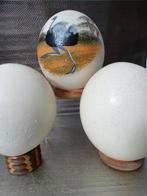 True-to-life Aluminium Bird Foot with Ostrich Egg Ei -, Antiek en Kunst, Curiosa en Brocante