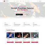 Kopen, veilen, vijverbenodigdheden | Koiverkoop.nl |, Dieren en Toebehoren, Karper of Koi