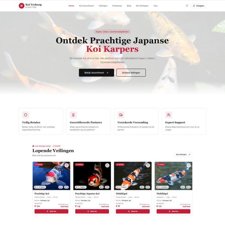 Kopen, veilen, vijverbenodigdheden | Koiverkoop.nl |, Dieren en Toebehoren, Vissen | Vijvervissen, Karper of Koi